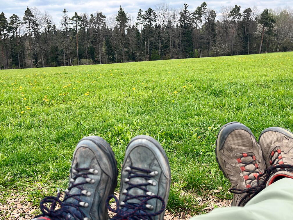 23-04-30 14-16-26 5245